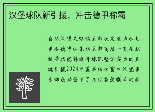 汉堡球队新引援，冲击德甲称霸